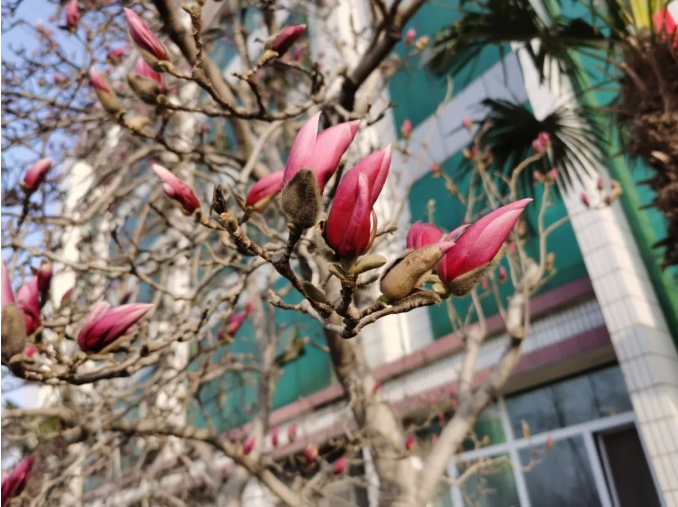 微信截图_20220314091430.png