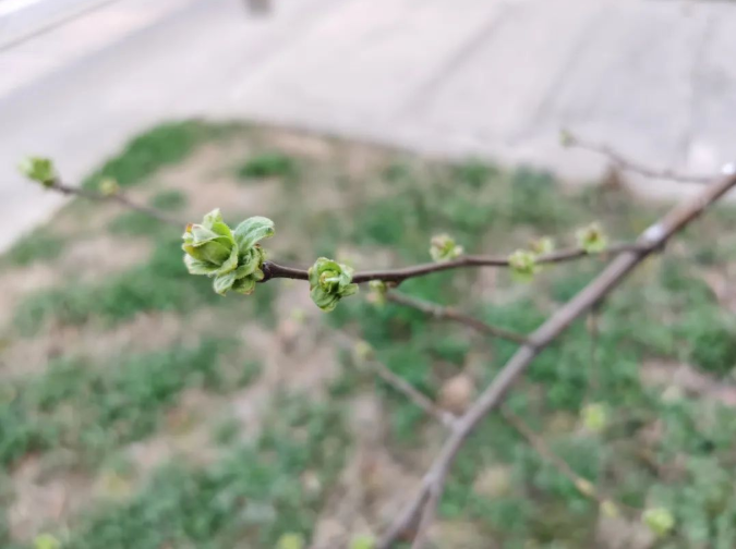 微信截图_20220314091446.png