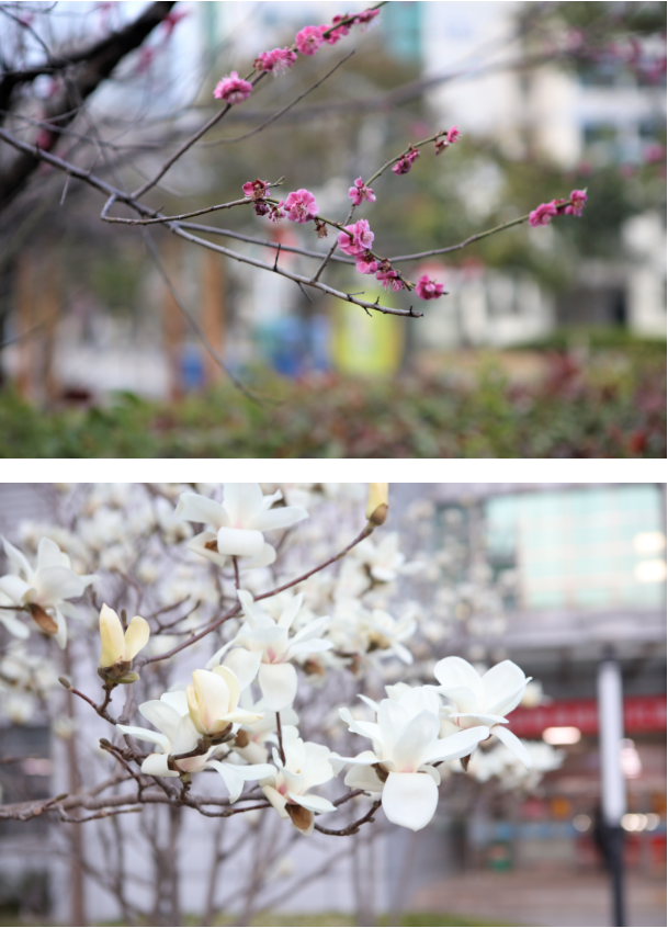 微信截图_20220314095657.png