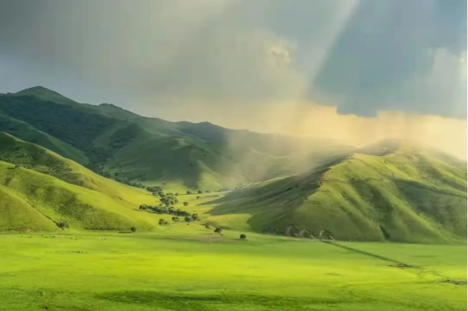 微信截图_20220315075858.png