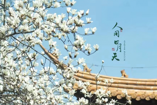 四月，你好