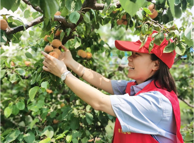 微信截图_20220525102452.png