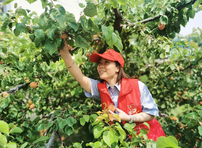微信截图_20220525102502.png