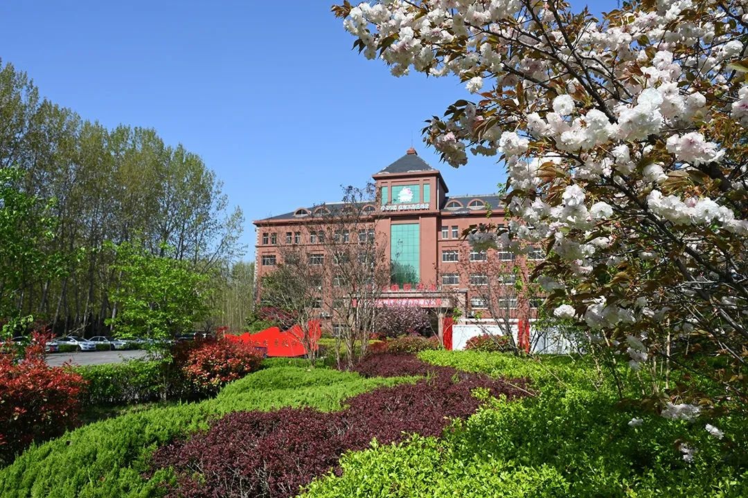 05.jpg