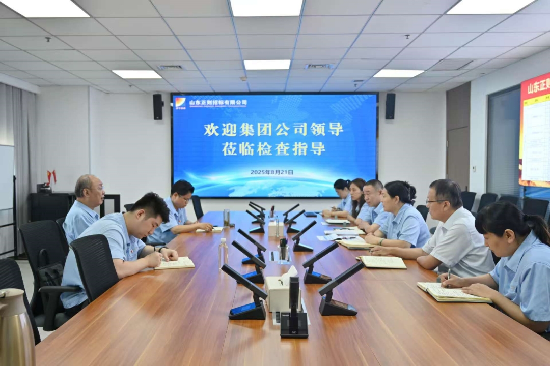 成书记8月检查指导.jpg