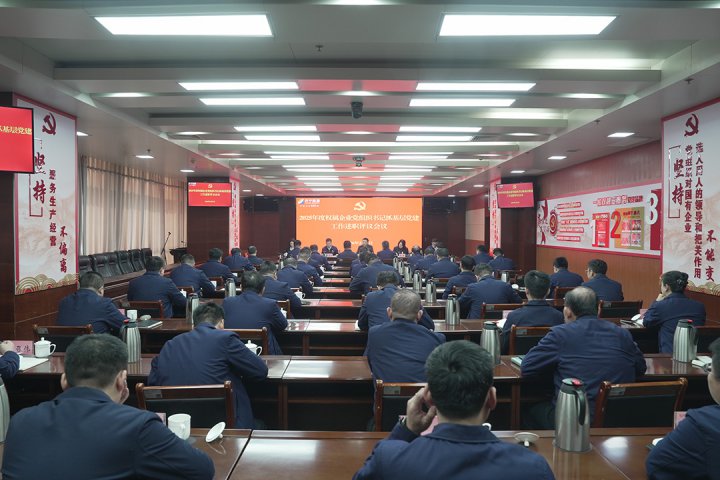 米兰体育-米兰MILAN（中国）
召开基层党建工作述职评议会议